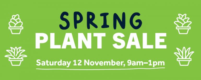 plant-sale